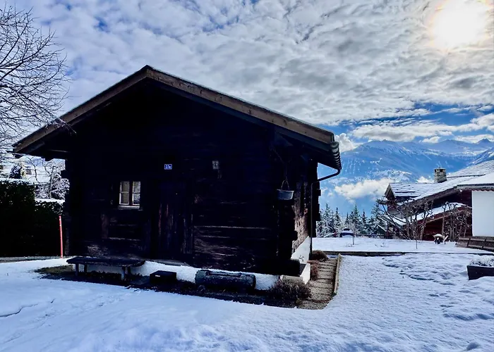 Le Petit Nid - Montana Шале